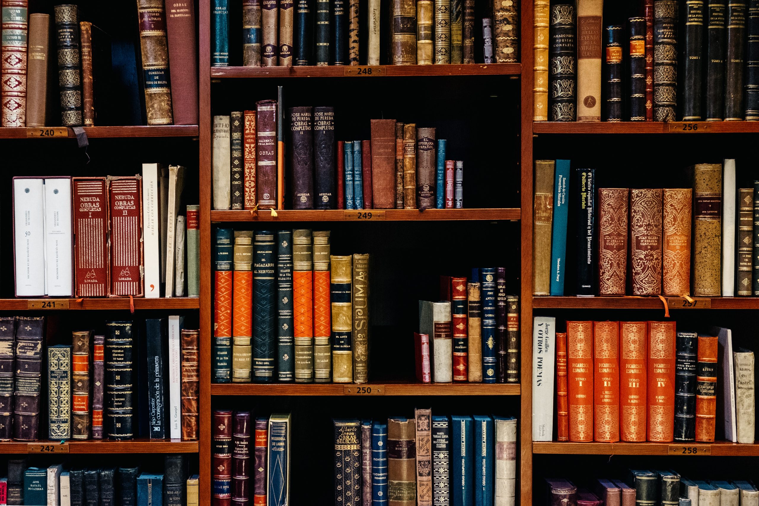 Employment Litigation - Apolat Legal